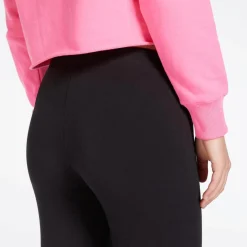 Champion Basic