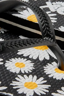 Chanclas Ameias