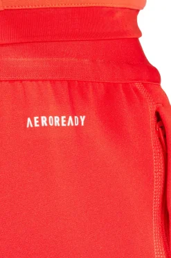 Pantalones De Entrenamiento adidas Bayern Munich