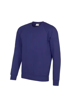 Sudadera Con Mangas Raglan Awdis Academy